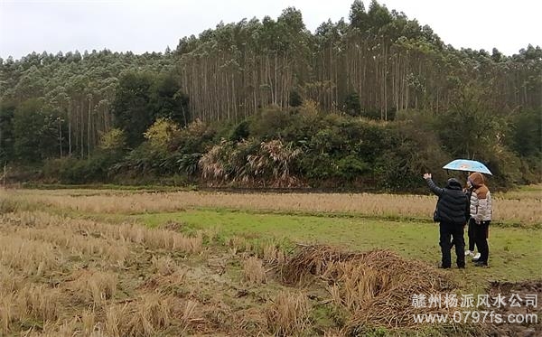 聊城市陈老师带着爱徒寻龙点穴